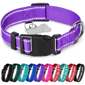 Reflective Dog Collar – Violet – S – Basic Nylon Pet Collar ,Quick Release Buckle ,Fits Small, Medium and Large Dogs, Puppies